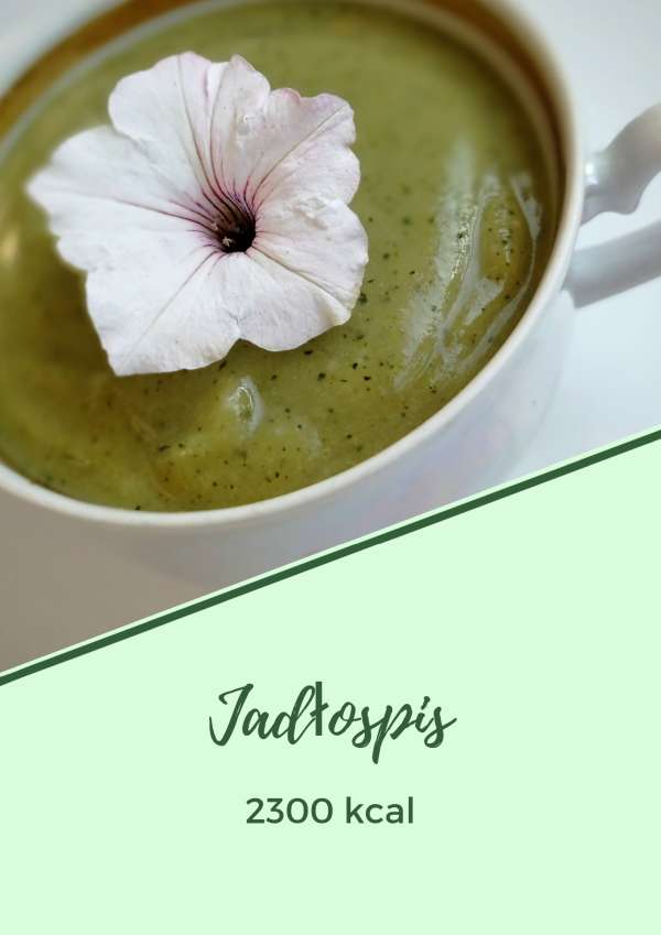 7-day 2300 kcal menu